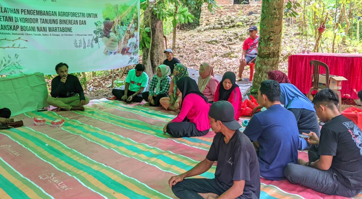 Peserta pelatihan mempraktikkan teknik agroforestri di Desa Adow, Kecamatan Pinolosian Tengah, Kabupaten Bolaang Mongondow Selatan, Sabtu, 25 Oktober 2025. Kegiatan ini digelar oleh Wildlife Conservation Society (WCS) bekerja sama dengan Balai Konservasi Sumber Daya Alam (BKSDA). Foto: Rifal